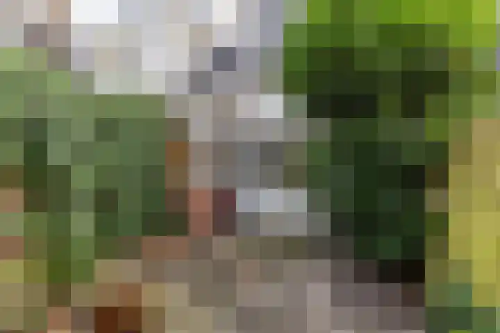 Mauritsstraat 37 Groningen thumbnail 5