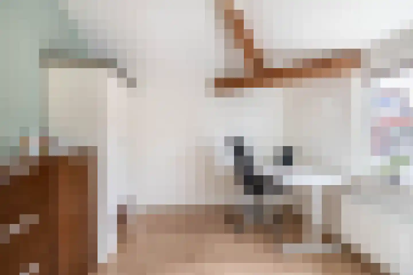 Mauritsstraat 38 Voorburg thumbnail 25
