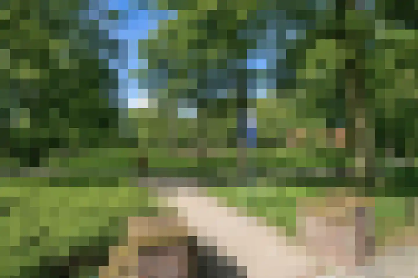Mauritsstraat 38 Voorburg thumbnail 32
