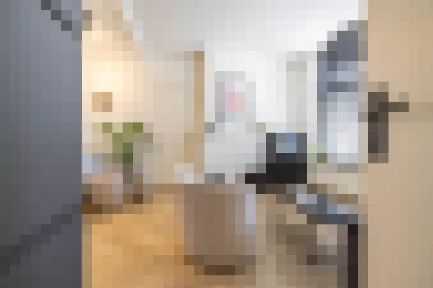 Mauritsstraat 4 Groningen thumbnail 12