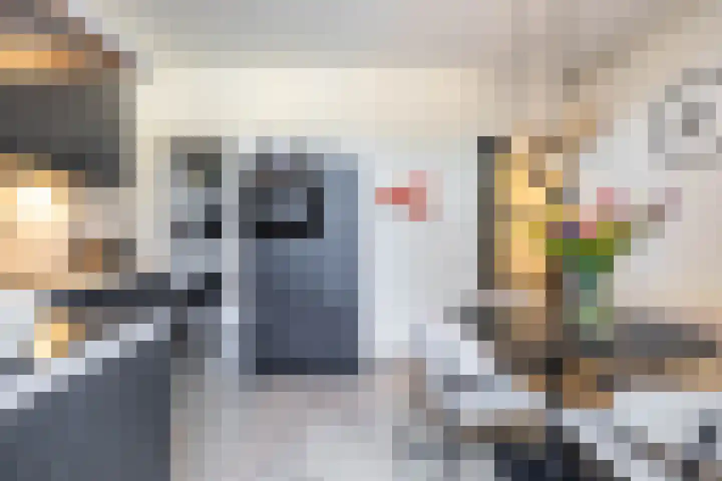 Mauritsstraat 4 Groningen thumbnail 20