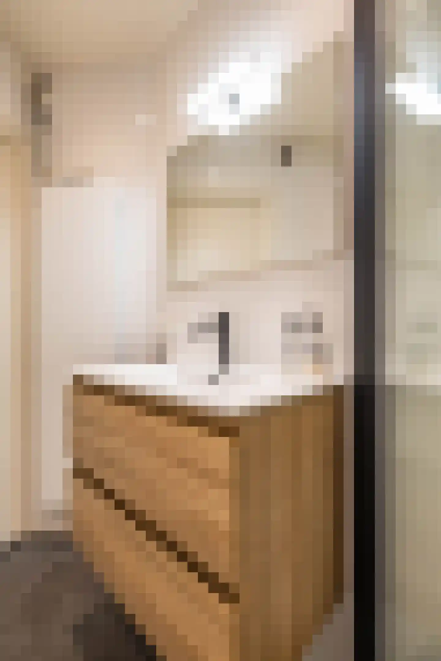 Mauritsstraat 4 Groningen thumbnail 27