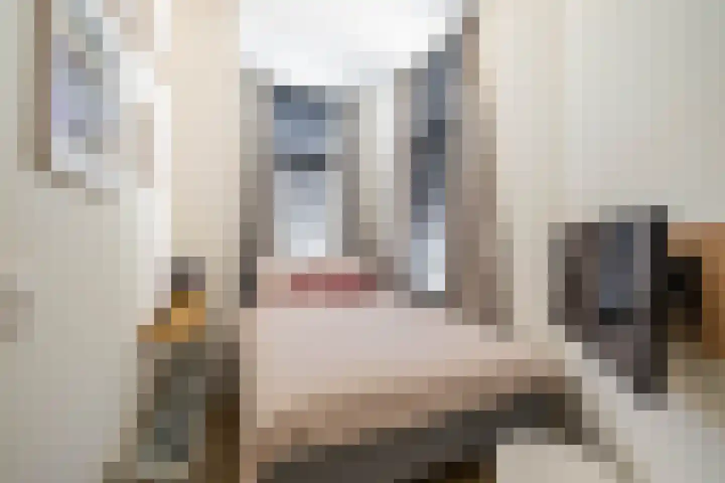 Mauritsstraat 4 Groningen thumbnail 29