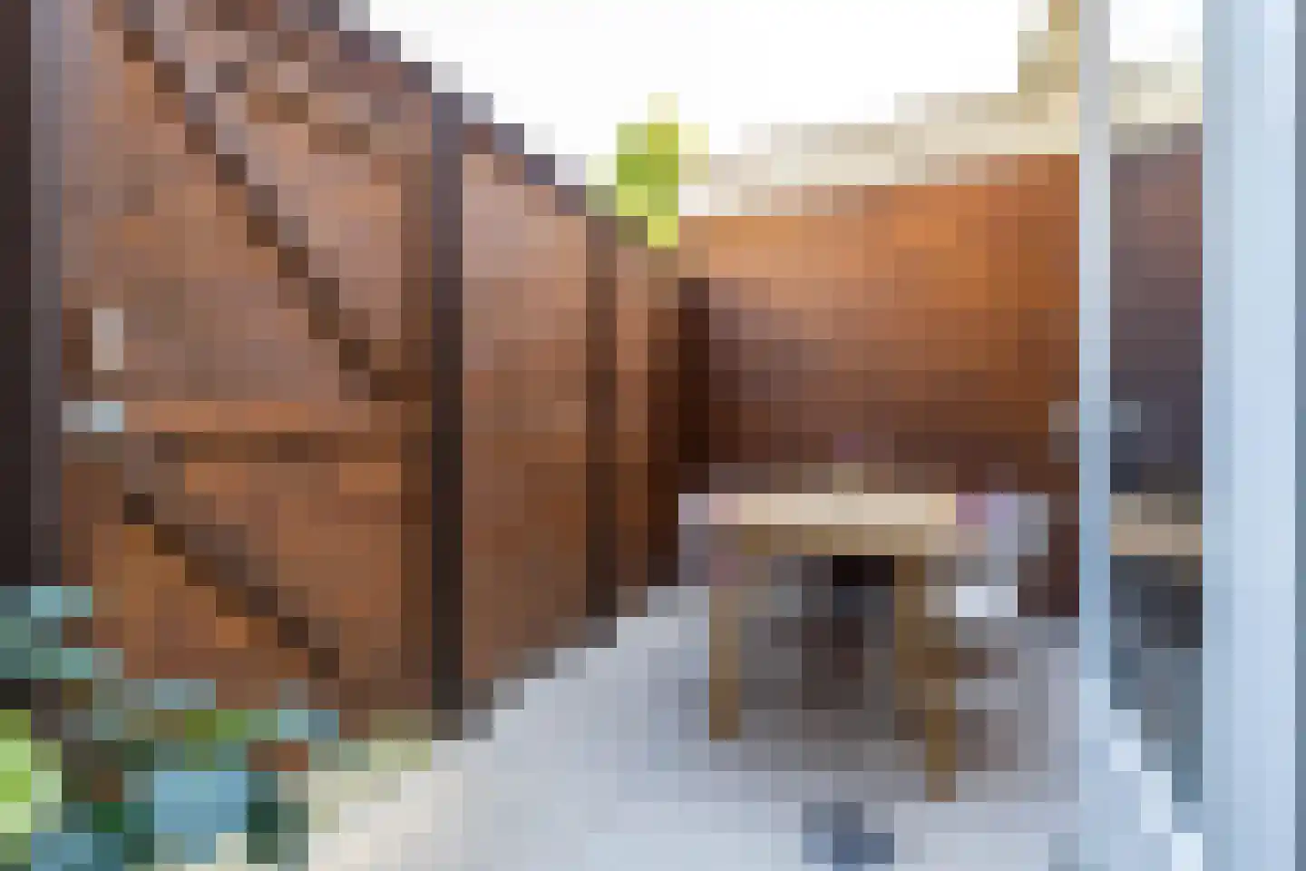 Mauritsstraat 4 Groningen thumbnail 32