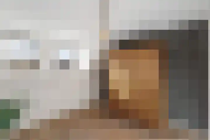 Mauritsstraat 4 Roosendaal thumbnail 20