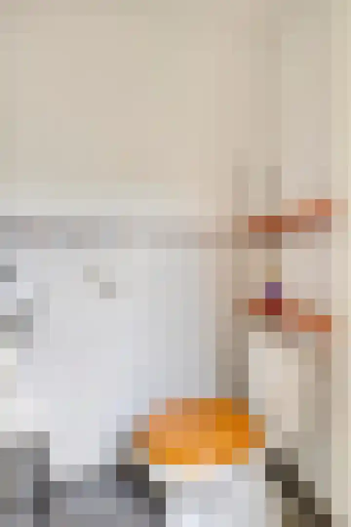 Mauritsstraat 40 Ovezande thumbnail 20