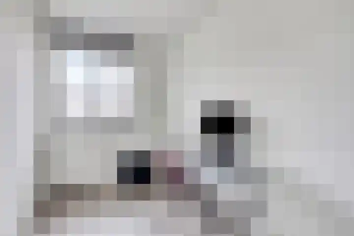 Mauritsstraat 40 Ovezande thumbnail 32