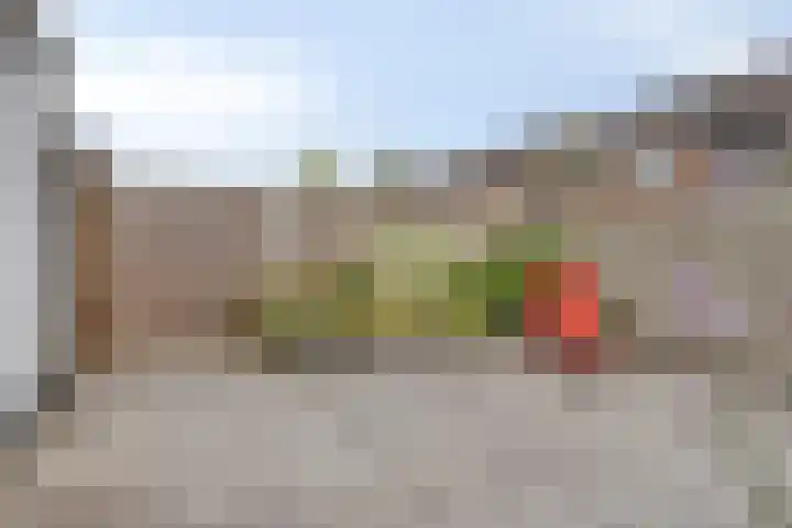 Mauritsstraat 40 Ovezande thumbnail 41