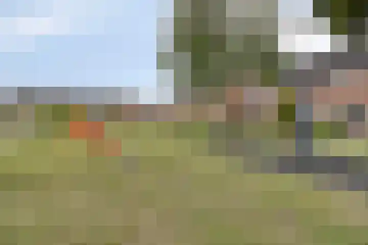 Mauritsstraat 40 Ovezande thumbnail 45