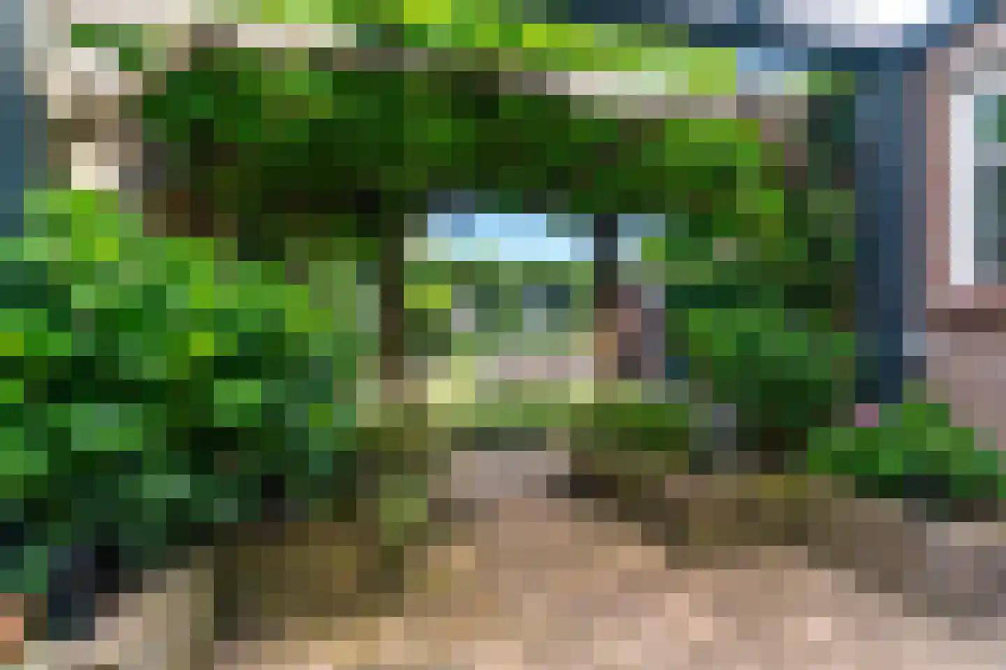 Mauritsstraat 42 Sint-Oedenrode thumbnail 4