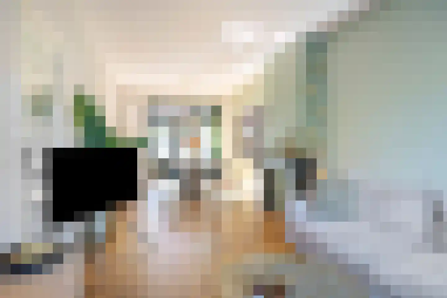 Mauritsstraat 48 Eindhoven thumbnail 16