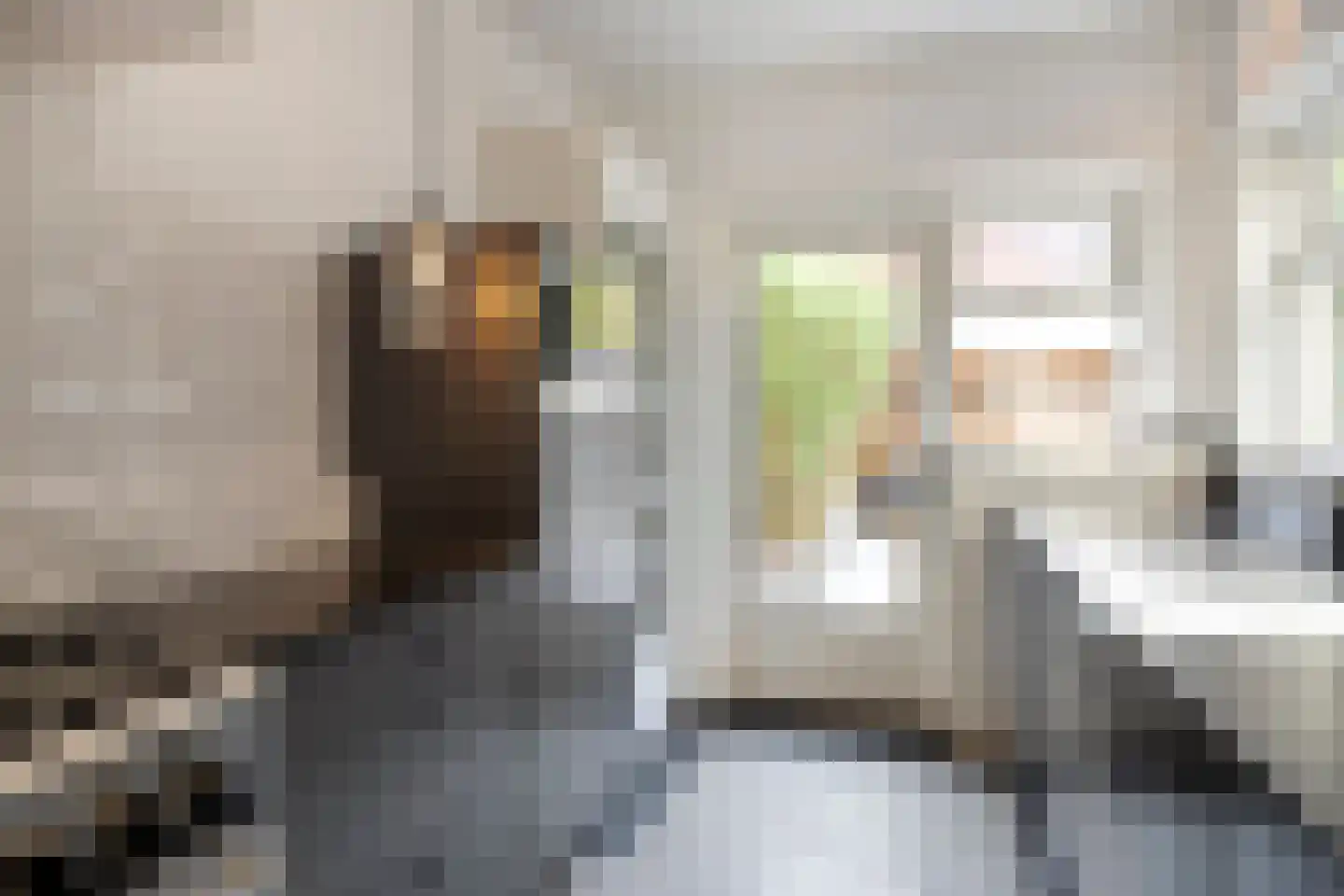 Mauritsstraat 48 Eindhoven thumbnail 24