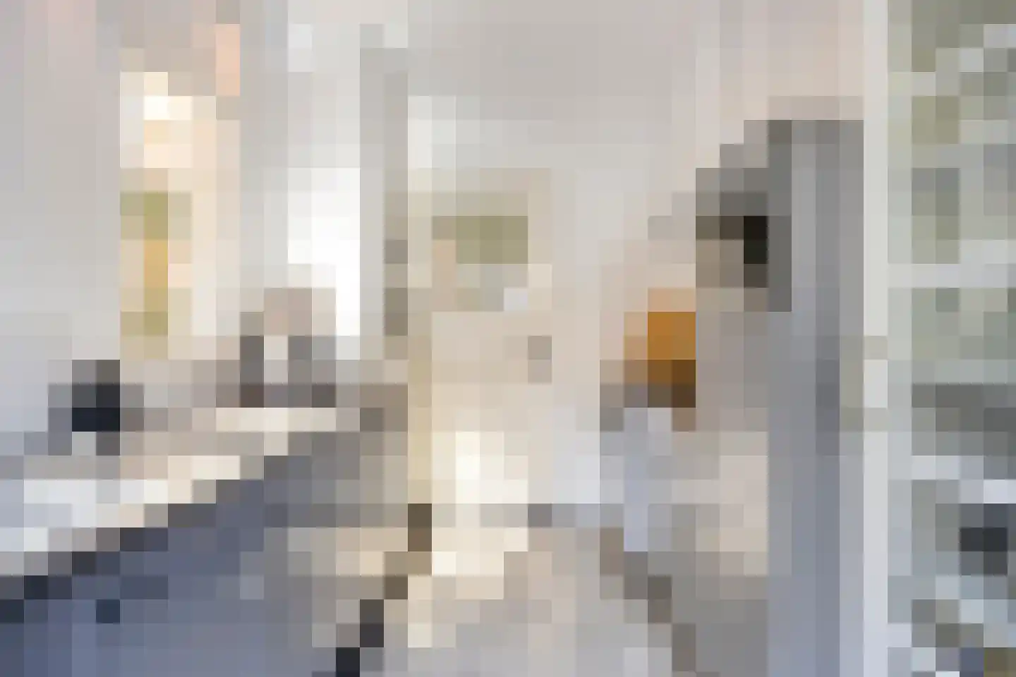 Mauritsstraat 48 Eindhoven thumbnail 25