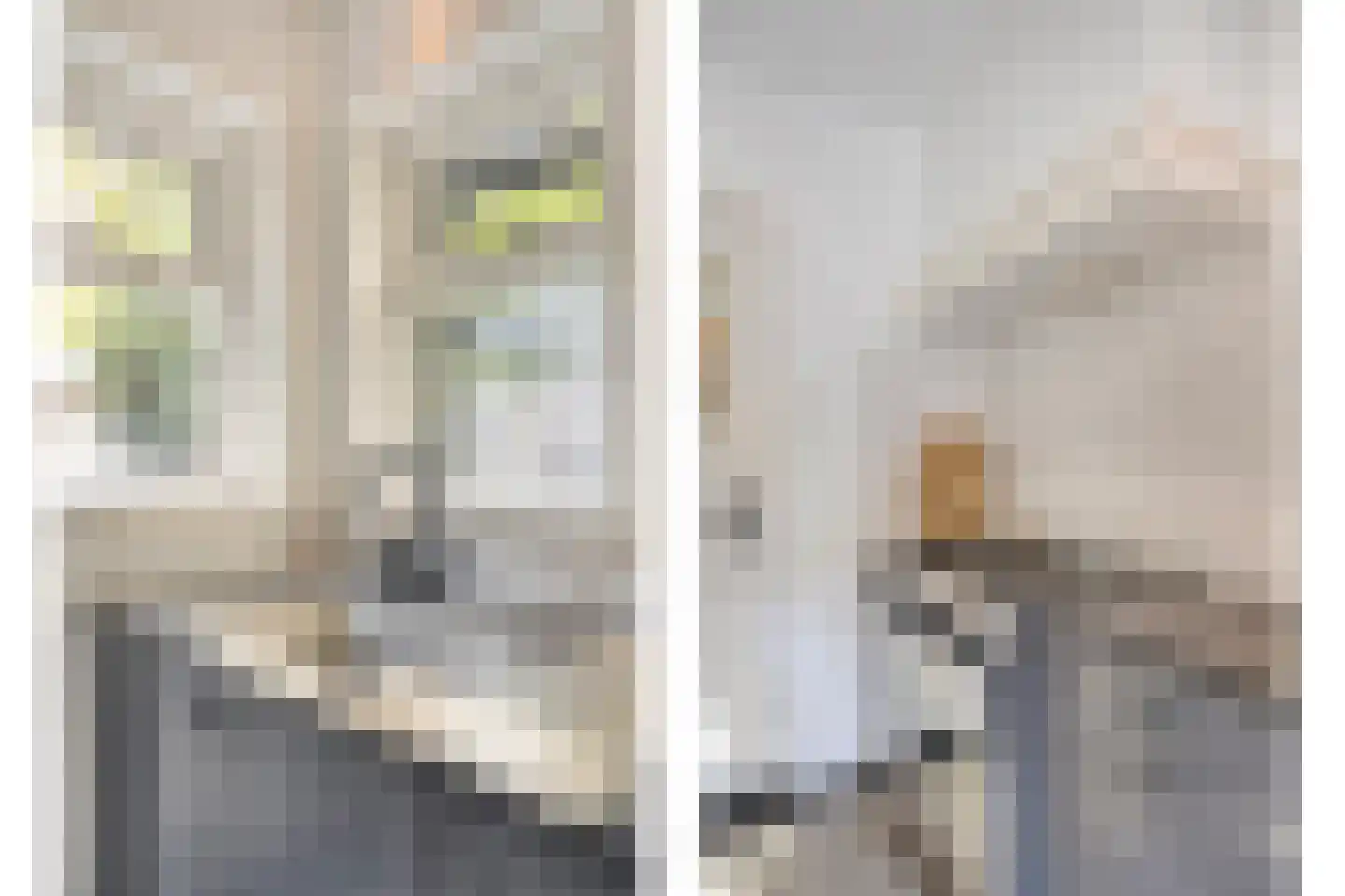 Mauritsstraat 48 Eindhoven thumbnail 27