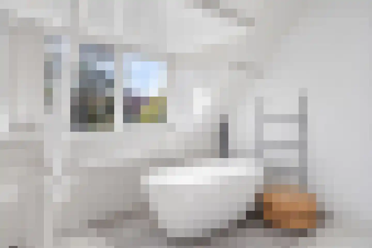 Mauritsstraat 48 Eindhoven thumbnail 42
