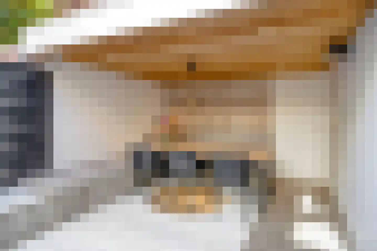 Mauritsstraat 48 Eindhoven thumbnail 45