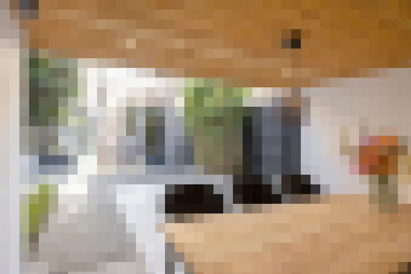 Mauritsstraat 48 Eindhoven thumbnail 46