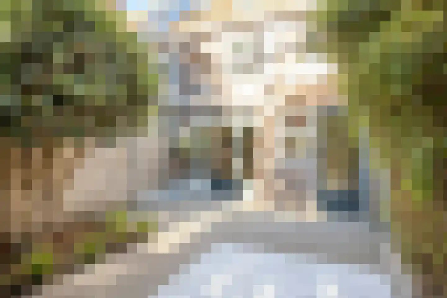 Mauritsstraat 48 Eindhoven thumbnail 47