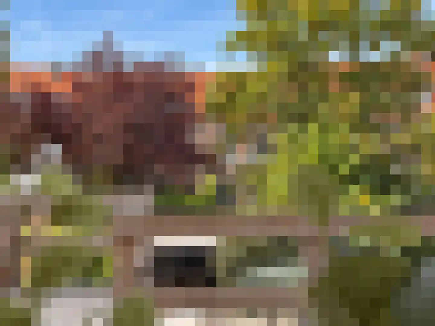 Mauritsstraat 48 Eindhoven thumbnail 50