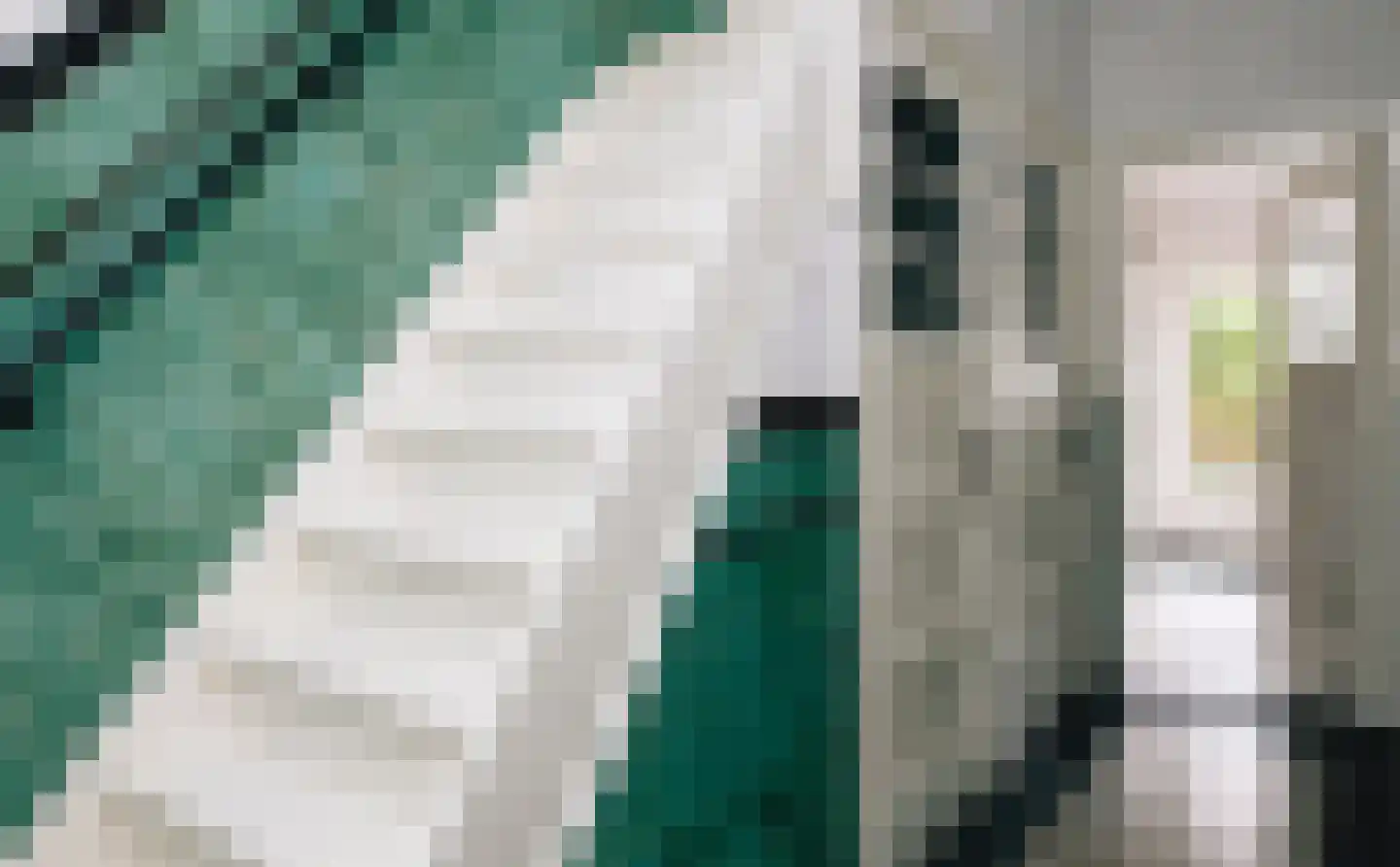 Mauritsstraat 48 Eindhoven thumbnail 8
