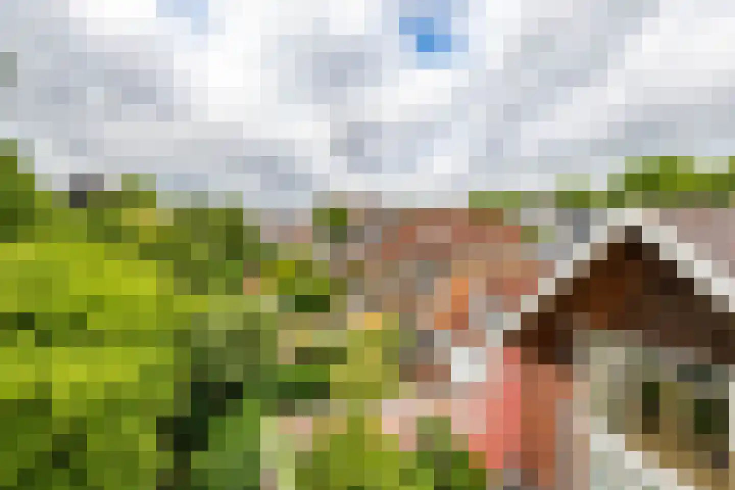 Mauritsstraat 5 a Groningen thumbnail 39