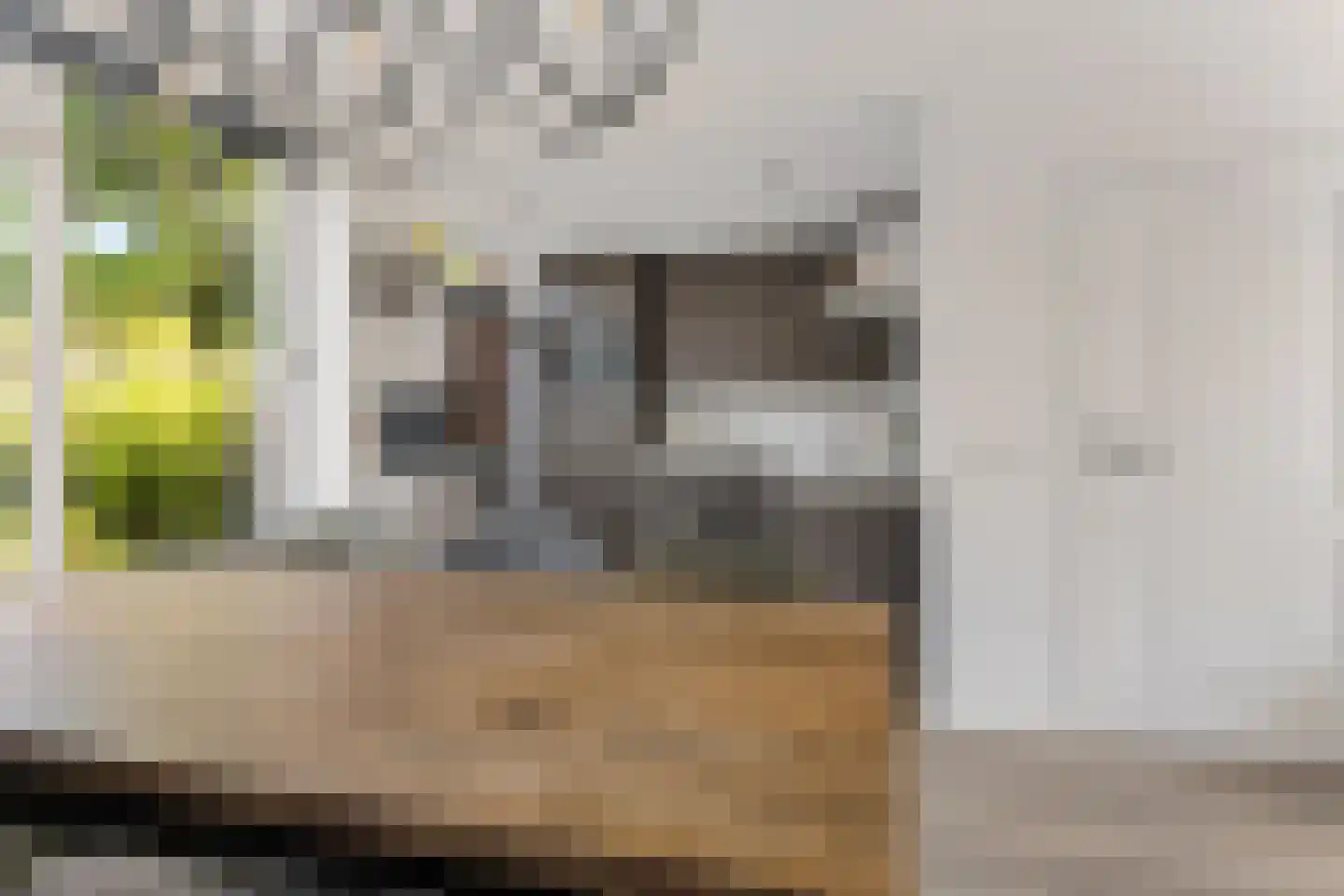 Mauritsstraat 5 Lith thumbnail 10