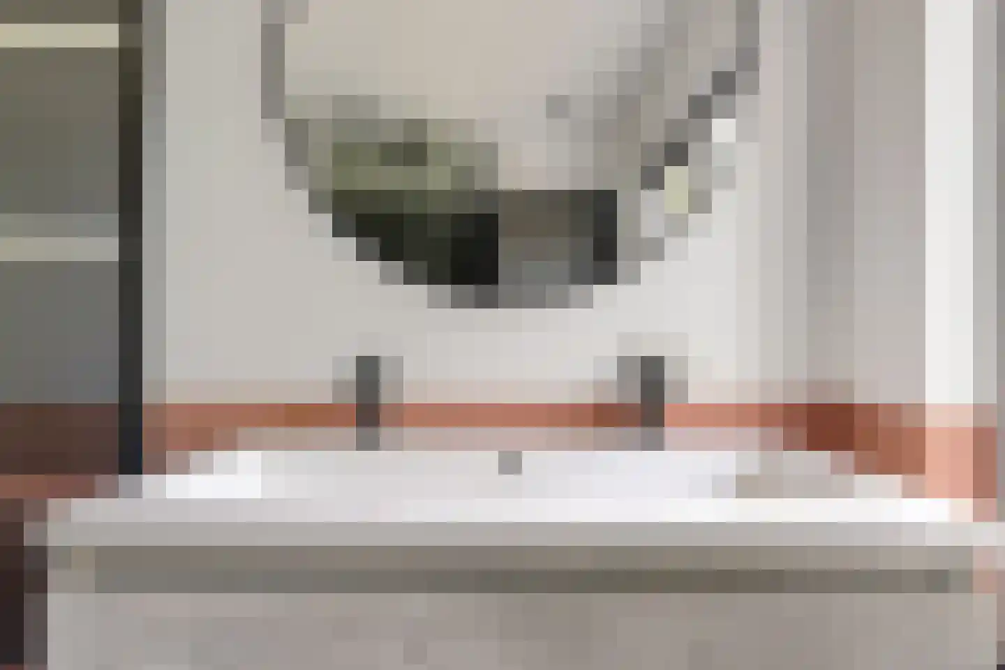 Mauritsstraat 5 Lith thumbnail 18
