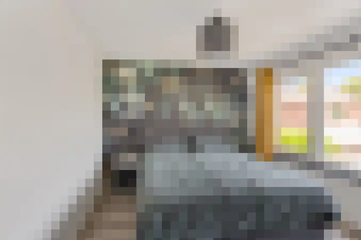 Mauritsstraat 5 Lith thumbnail 20