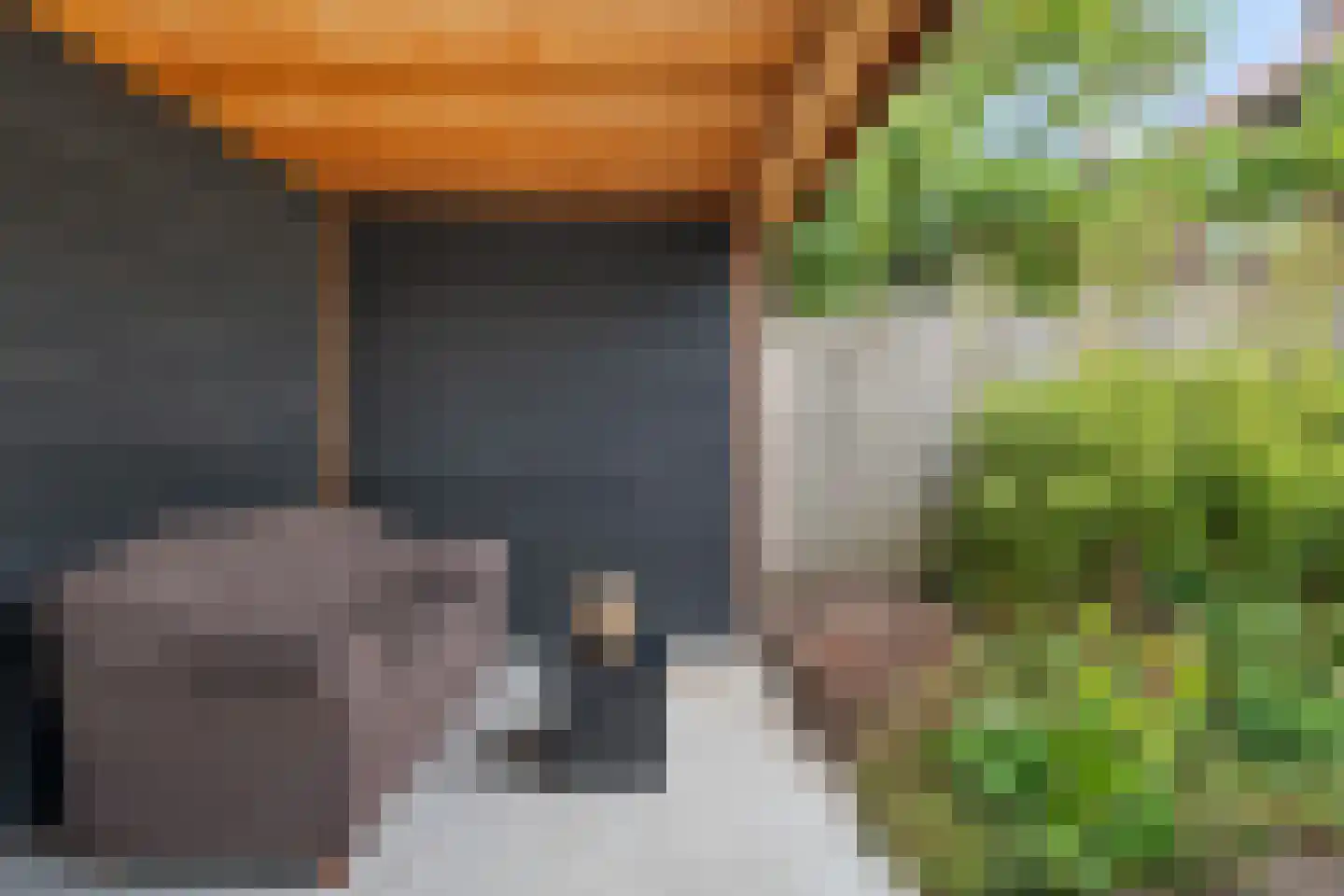 Mauritsstraat 5 Lith thumbnail 27