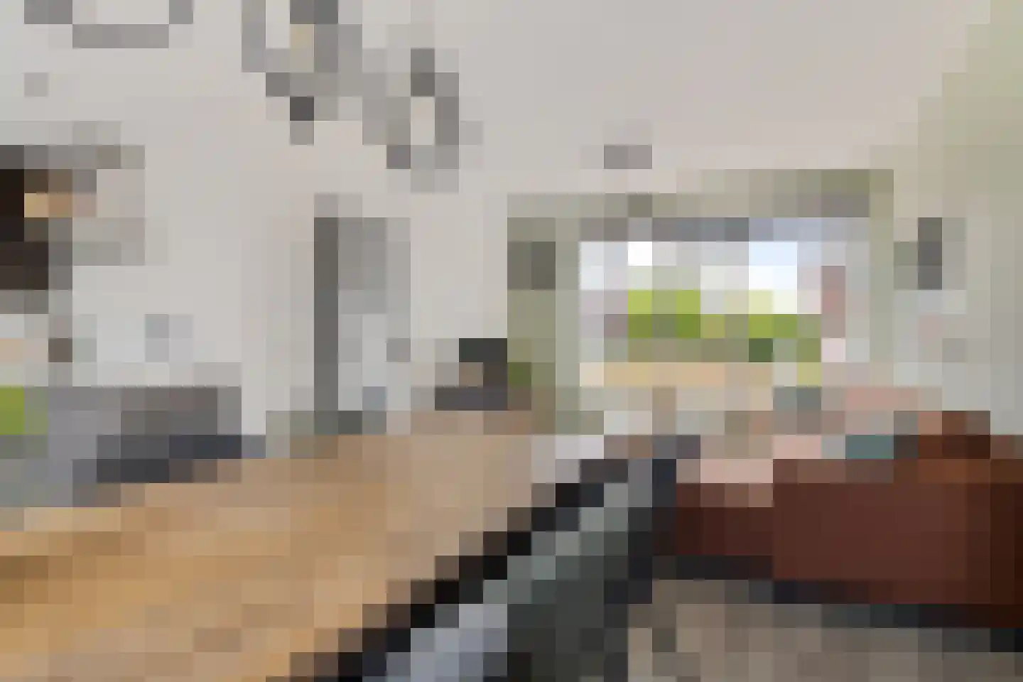 Mauritsstraat 5 Lith thumbnail 9
