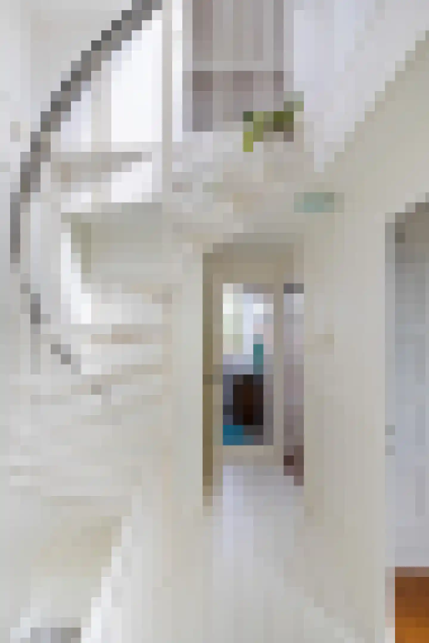 Mauritsstraat 54 b Groningen thumbnail 29