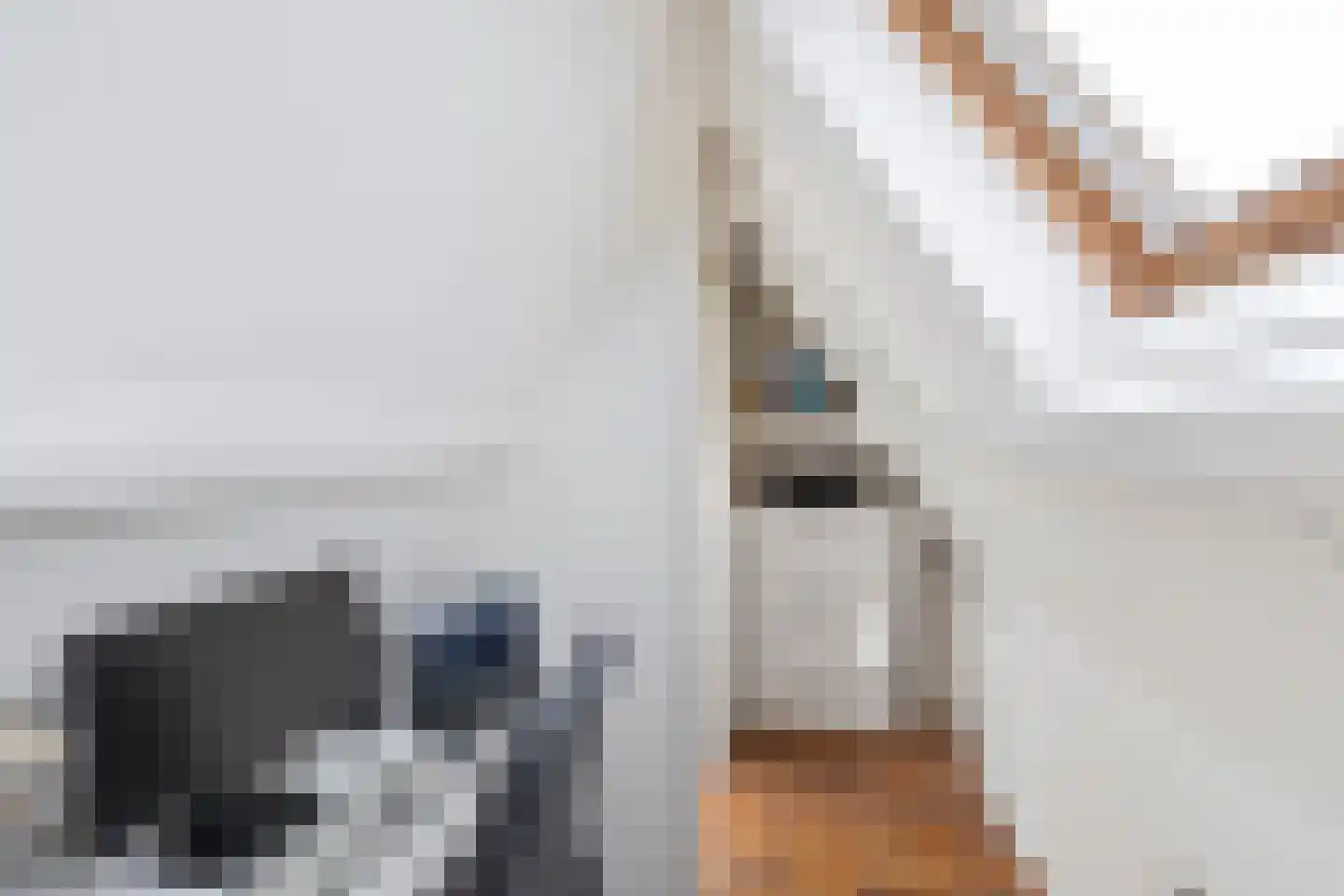 Mauritsstraat 54 b Groningen thumbnail 32