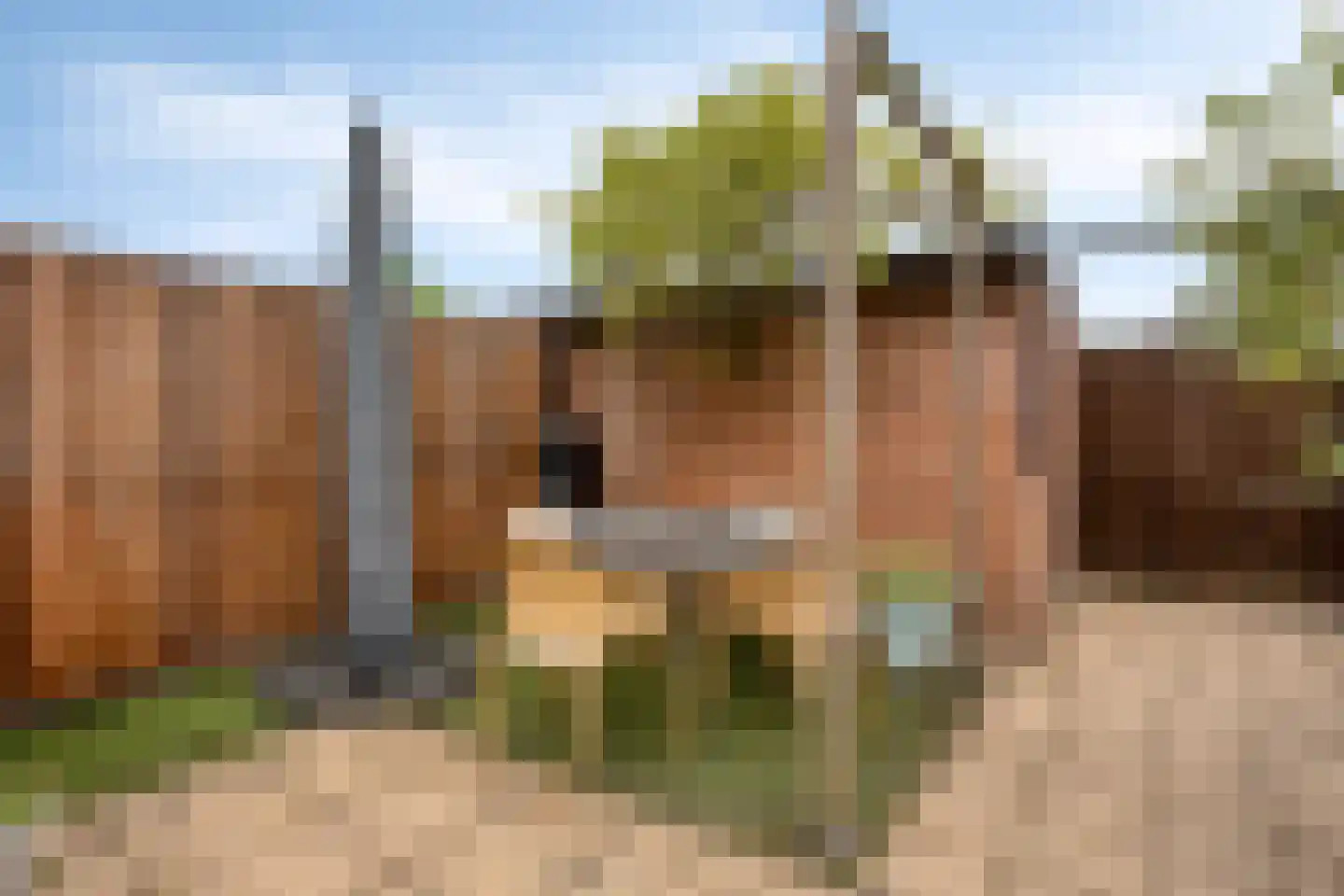Mauritsstraat 6 Alphen aan den Rijn thumbnail 32