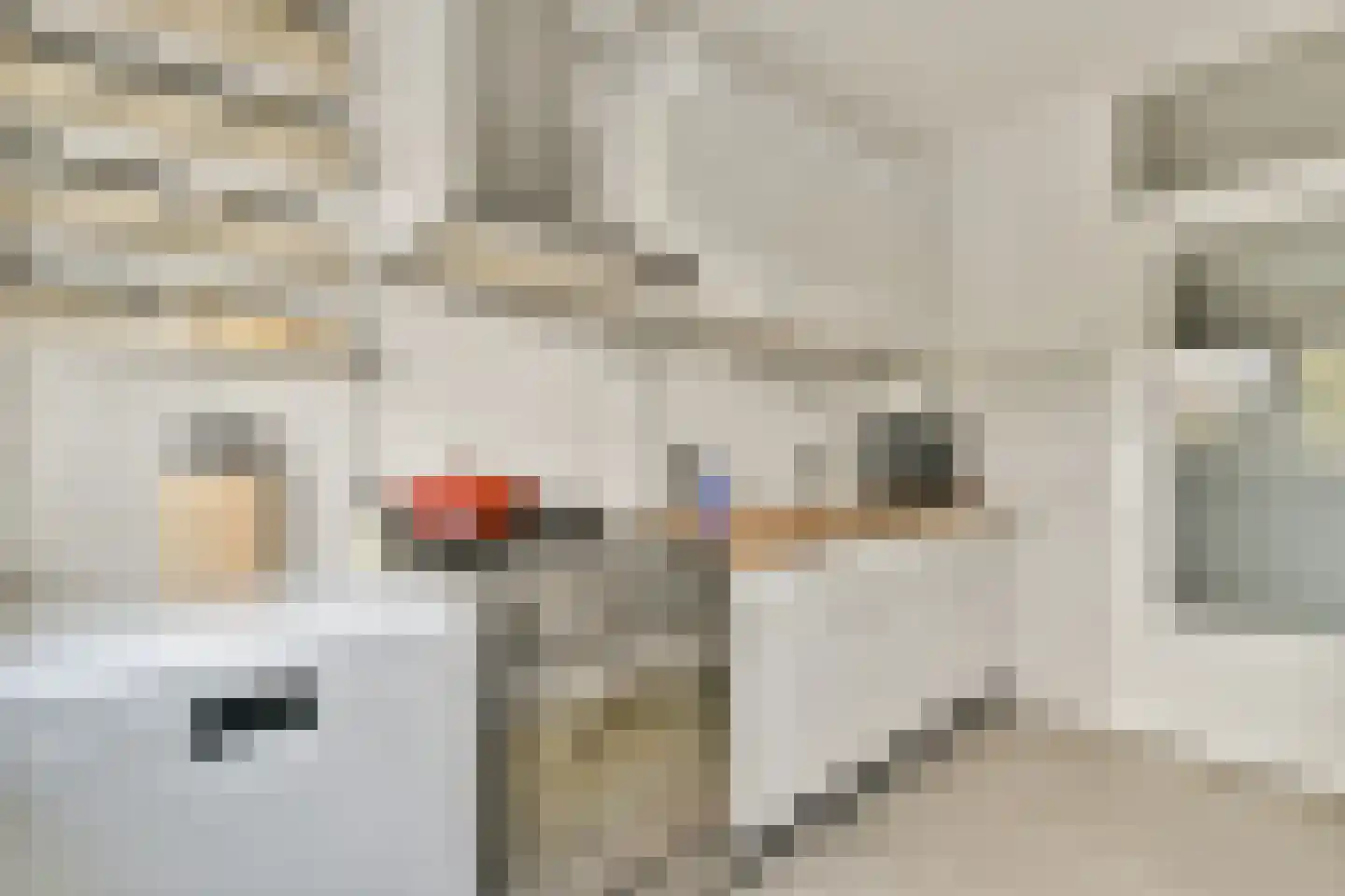 Mauritsstraat 6 Amsterdam thumbnail 15