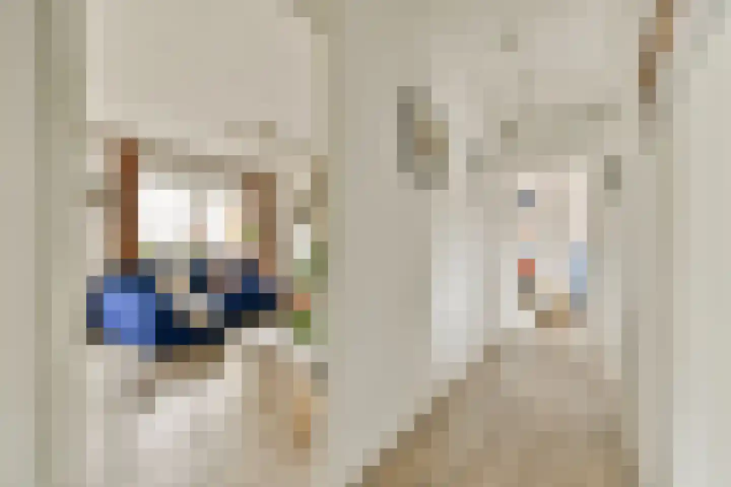 Mauritsstraat 6 Amsterdam thumbnail 6