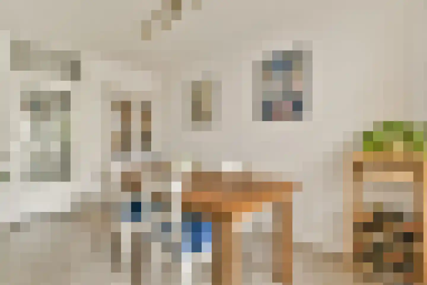 Mauritsstraat 6 Amsterdam thumbnail 7