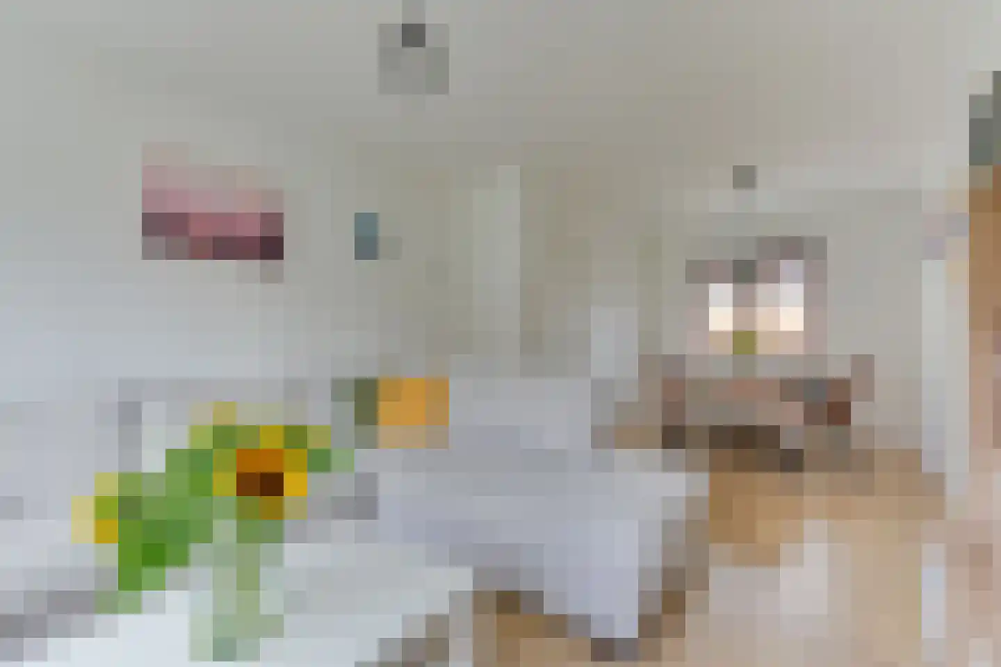 Mauritsstraat 6 Noord-Scharwoude thumbnail 9