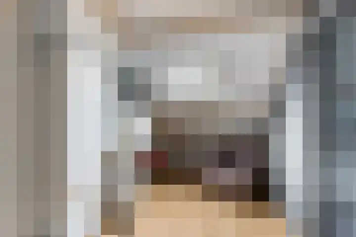 Mauritsstraat 6 Rijsbergen thumbnail 28