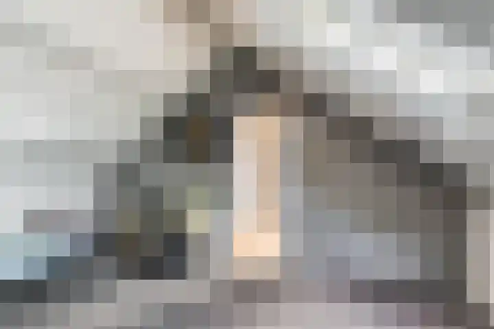 Mauritsstraat 6 Rijsbergen thumbnail 31