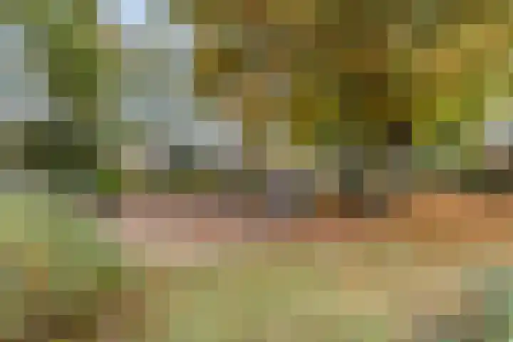 Mauritsstraat 6 Rijsbergen thumbnail 34