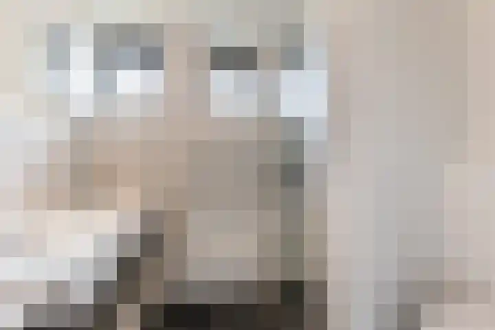 Mauritsstraat 6 Rijsbergen thumbnail 4