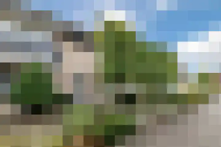 Mauritsstraat 6 Rijsbergen thumbnail 6
