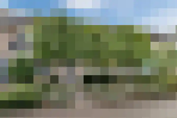 Mauritsstraat 6 Rijsbergen thumbnail 7