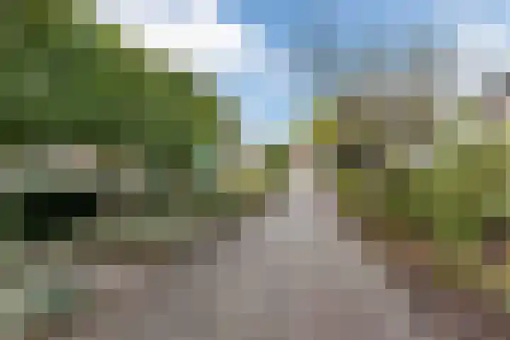 Mauritsstraat 6 Rijsbergen thumbnail 8