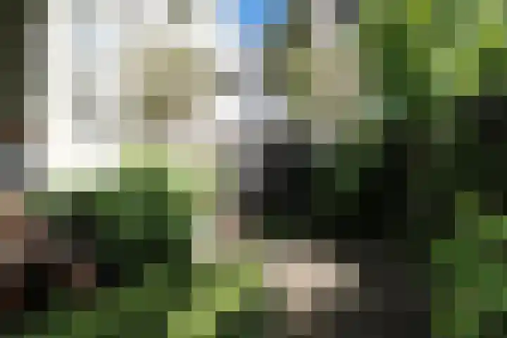 Mauritsstraat 6 Utrecht thumbnail 32
