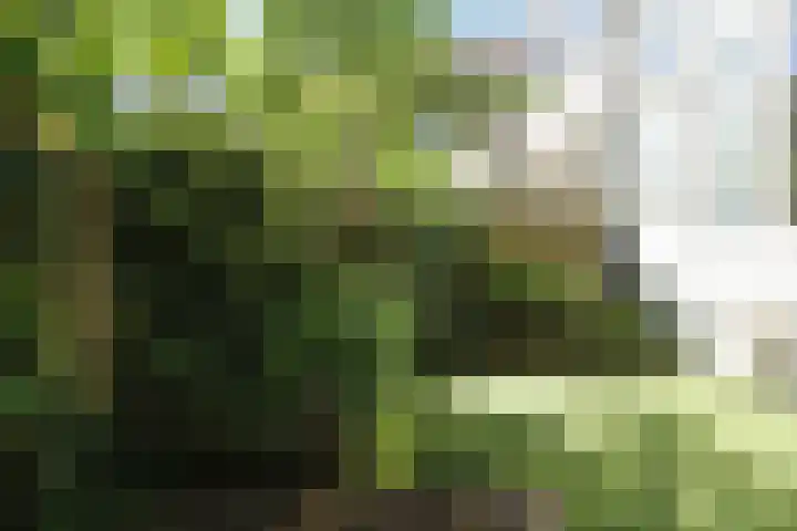 Mauritsstraat 6 Utrecht thumbnail 33