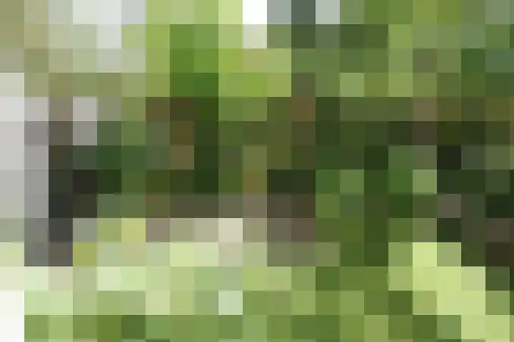 Mauritsstraat 6 Utrecht thumbnail 34
