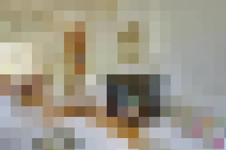Mauritsstraat 6 Utrecht thumbnail 5