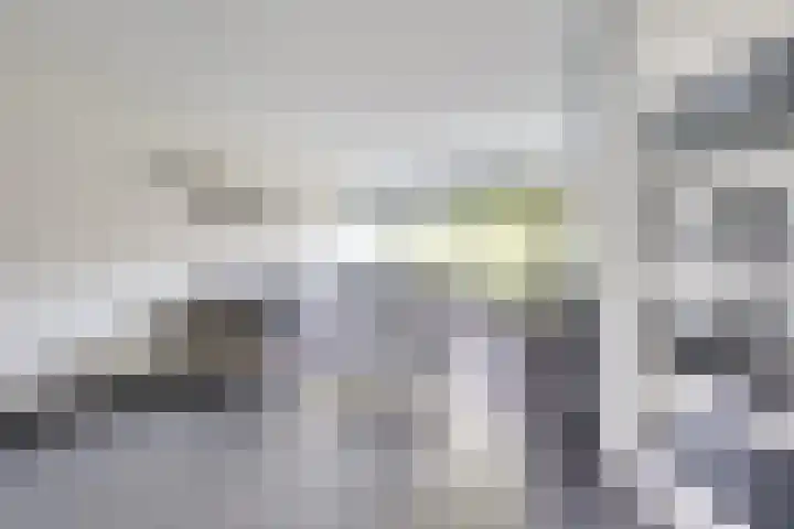 Mauritsstraat 6 Vianen thumbnail 10