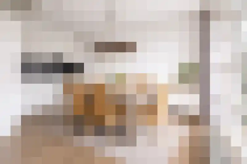 Mauritsstraat 7 A Lith thumbnail 10